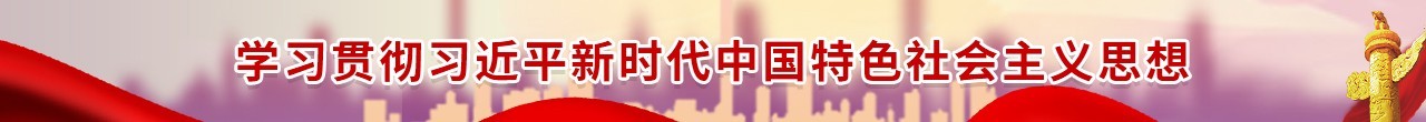 習(xí)近平新時代中國特色社會主義思想“大學(xué)習(xí)”